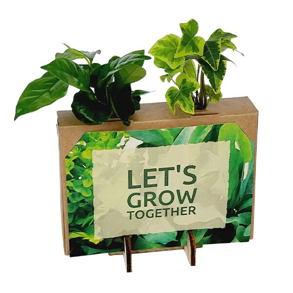 Nature out of the Box - Mini  
