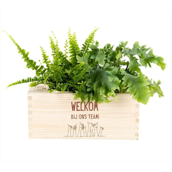 BloomsBox 'Welkom'