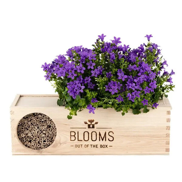 Blooms & Bees Original